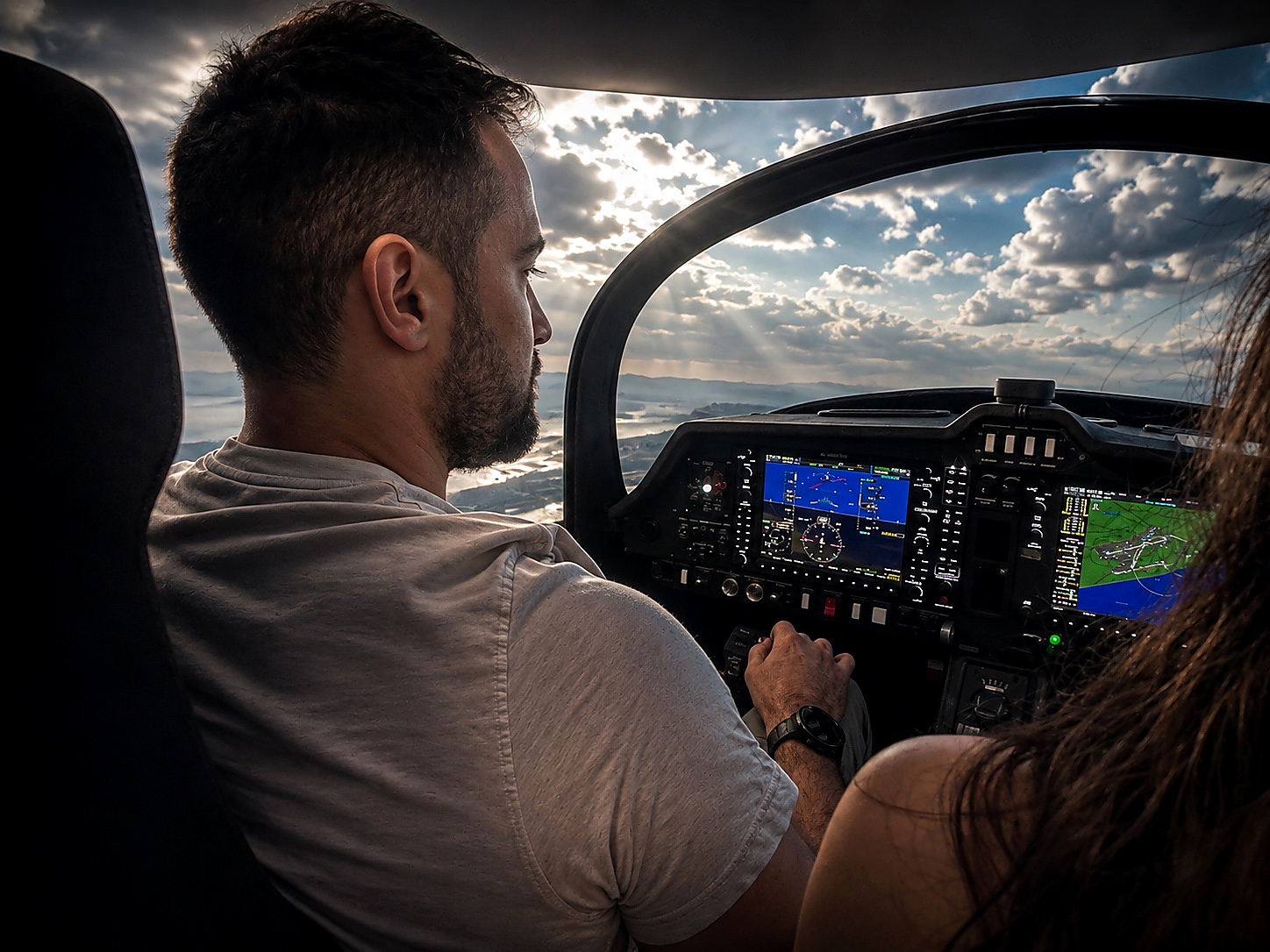 Professional flight simulator cockpit
